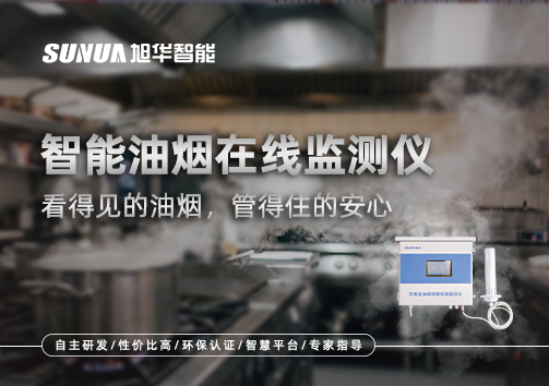 智能油烟在线监测仪：看得见的油烟，管得住的安心